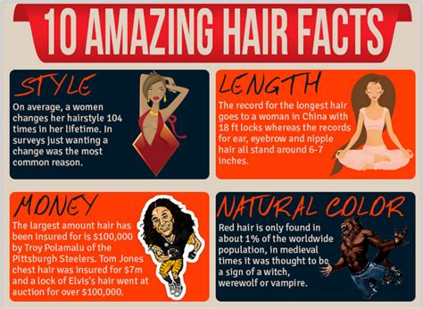 fun hair facts infographic  infographic