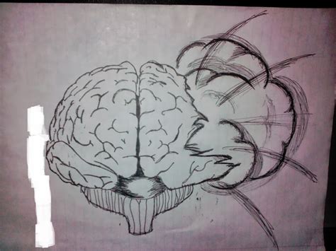 brain drawing photo  fanpop