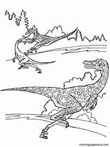 Velociraptor Jurassic Raptor Dinosaurs Coloriage Dinossauro Colorir Dinosaurier Dinosaurios Dinosaure Greatestcoloringbook Dino Desenhos Dinosaurio Microraptor Supercoloring Stampare Dinosauri Wiel Afb sketch template