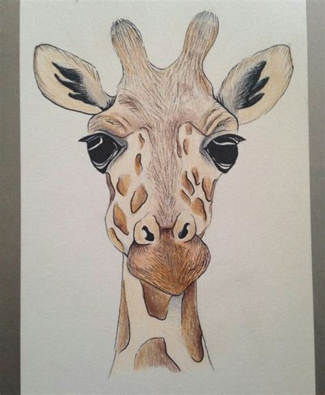makkelijke tekeningen hoe teken je een giraffe makkelijk   draw  xxx hot girl
