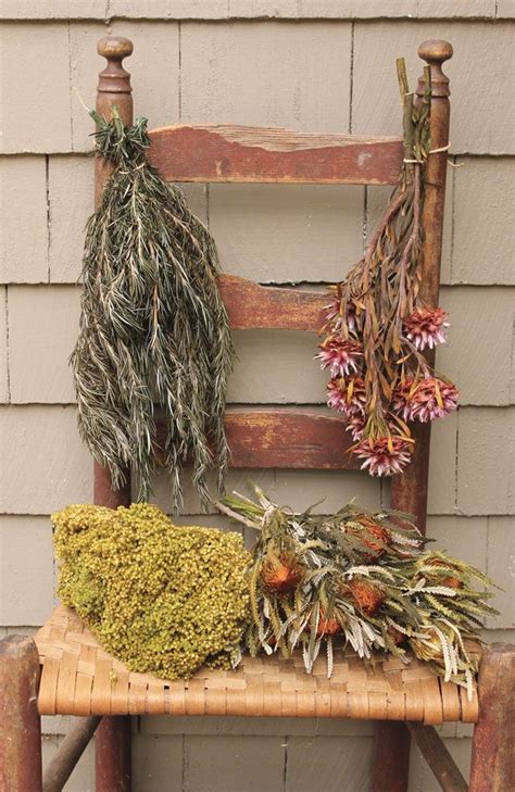 Dried Herb Decor Garlands Dried Bunches Wreaths And More
