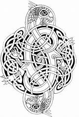 Celtic Coloring Pages Dragon Mandala Printable Adult Adults Knots Knot Designs Deviantart Dragons Tattoo Nordic Book Google Getcolorings Norse Colouring sketch template