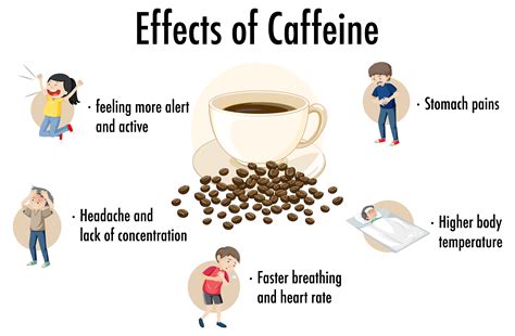 effects  caffeine infographic  vector art  vecteezy
