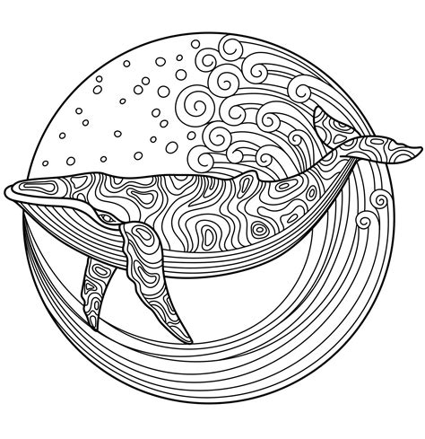 whale  color  coloringbookforme turtle coloring pages whale
