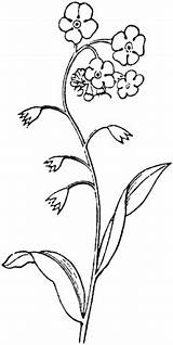 Forget Coloring Pages Drawing Flowers Printable Color Clipart Online Categories sketch template