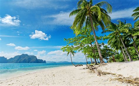 exotic beaches aol image search results