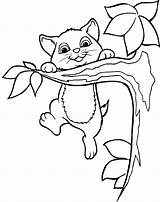 Climbing Coloring Pages Cat Tree Clipart Colouring Kids Animals Hang Cats Trees Kitty Sheets Clip Cliparts Patterns Tabby Animal Book sketch template