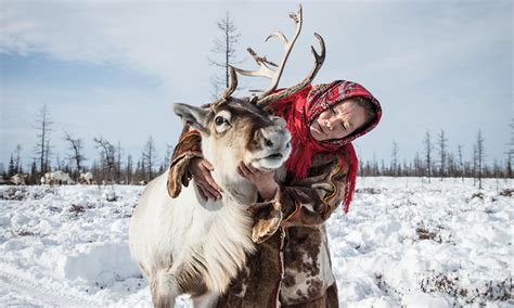 An Incredible Journey With Reindeer Herders In Siberia Destinasian