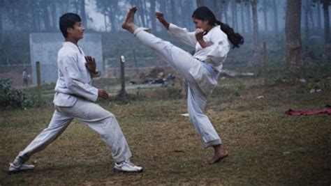 Karate Karatedo Kungfu Kung Fu Wushu Te Ashi Do
