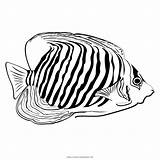 Pesce Ultracoloringpages Tropicale Source Tropischer Färbung Fisch sketch template