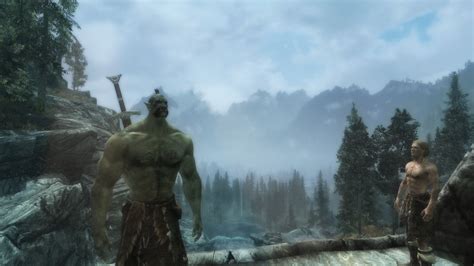 after 700 hours i finally got skyrim to look the way i