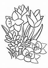 Coloring Tulip Pages Flower Bee Flowers Little Plants Game Coloringonly Printable Appealing Print Kids Iris Categories Getdrawings Getcolorings Books sketch template