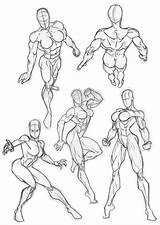 Reference Poses Humana Bambs79 Anatomia Musculos Superheroine Cuerpos Humanas Desde sketch template