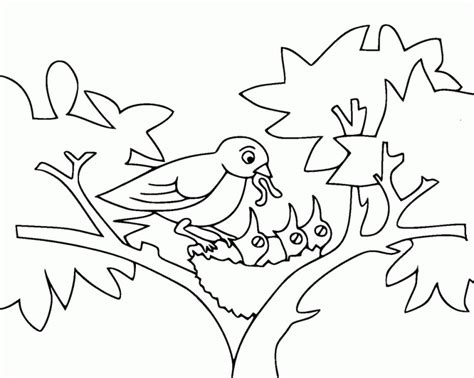 printable bird coloring pages everfreecoloringcom
