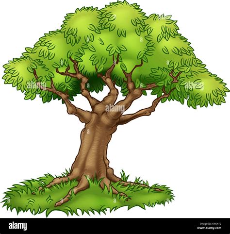 white oak trees stock vector images alamy