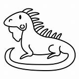 Iguana Dibujo Animales sketch template