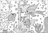 Pesci Poissons Peces Ryby Fische Fishes Kolorowanka Akwariowe Adulti Trois Druku Malbuch Erwachsene Coloriages Justcolor Coloriage Rybki Jolis Adults Plantes sketch template