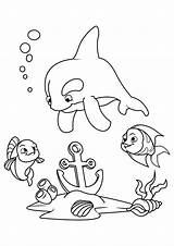 Colorare Ancla Delfino Disegno Anker Pesce Dolfijn Peces Delfines Ausmalbild Schulbilder Riesenkalmar sketch template