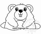 Marmot Printable Coloring Burrow Looking Groundhog Coloringpage Eu sketch template