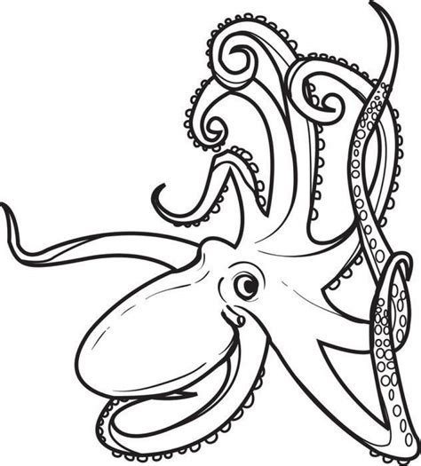 printable octopus coloring page printable word searches