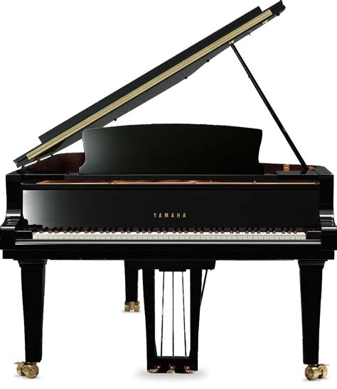 wichitas piano repair restoration  tuning service sharps repair