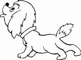 Coloring Pages Pet Color Puppy Popular sketch template