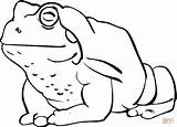 Toad Ropucha Rospi Kolorowanki Cartoon Rospo Sapo Dibujo Grande Toads Bestcoloringpagesforkids Amphibians Dzieci Rana Wydruku Frogs sketch template