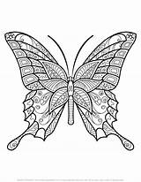 Mandala Zentangle Vlinders Farfalle Moeilijk Schmetterling Ausmalbilder Schmetterlinge Schwer Supercoloring Colorare Ausmalbild Mandalas Vlinder Templates Sheets sketch template