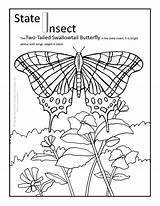 Coloring Arizona State Pages Butterfly Texas Insect Adults Pennsylvania Florida Bird Flower Butterflies Print Vermont Printable Ohio Virginia West Kids sketch template