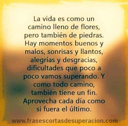 reflexiones de superacion personal  jovenes cortas