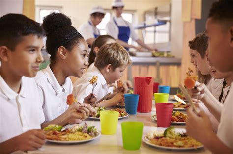 parents  government  provide healthy  school meals