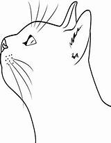 Katzen Kopf Ausmalbild Katze Ausmalen Katzenkopf Katzengesicht Zeichnen Kratzbaum Coloringpages Cats Kostenlose Dein Klicke Auszudrucken Mit sketch template