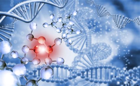 biochemistry  molecular biology  inconsistent  darwinism