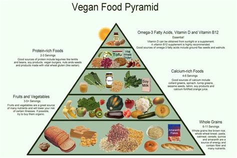 vegan food pyramid healthy eating meal  diet plan