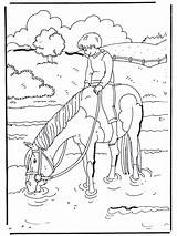 Pferd Paard Ausmalbilder Ausmalbild Ostwind Coloriage Paarden Pferde Kleurplaten Kleurplaat Caballos Caballo Nellacqua Chevaux Cavalli Leau Advertentie Mazes Tiere Publicidad sketch template