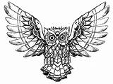 Owl Coloring Pages Drawing Owls Color Advanced Printable Raw Kids Adults Online Animals Print Drawings Children Book Beautiful Justcolor Incredible sketch template