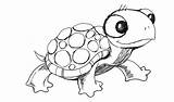 Turtle Drawing Easy Cute Cartoon Sea Baby Realistic Drawings Line Sketch Draw Drawn Pencil Coloring Pages Color Clip Getdrawings Animal sketch template