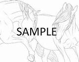 Horse Andalusian Equine Painting Baroque Galloping sketch template