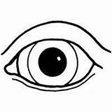 Eye Coloring Big Eyes Pages Clipart Surfnetkids Clipartmag sketch template