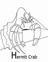 Crab Hermit Coloring Pages Color Fiddler Animals Animal Print Back Library Clipart Animalstown Line sketch template