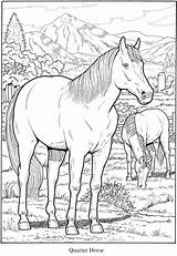 Horses Dover Colorir Cavalo Doverpublications Youngandtae Atividadesparaprofessores sketch template