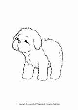Puppy Colouring Coloring Sheepdog Pages Dog Drawings Dogs Animals Become Member Log Village Activity Explore 4kb 650px sketch template