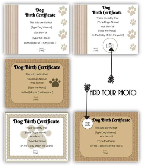 editable printable dog birth certificate dog adoption certificate