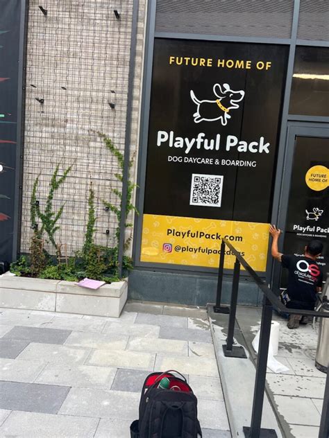 playful pack dog daycare boarding coming  noma popville