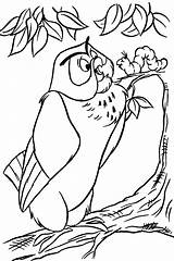 Disney Owl Owls Coloring Pages Bambi sketch template
