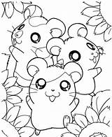 Hamsters Colouring Coloring4free Ausmalbild Momjunction Printcolorcraft Letzte sketch template