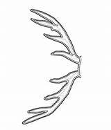 Reindeer Gally Antlers Antler sketch template