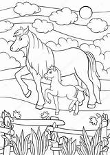 Paard Kleurplaten Kleurplaat Veulen Fohlen Boerderijdieren Paarden Moeder Volwassenen St2 Stockillustratie Illustrationen sketch template