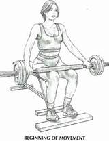 Seated Calf Barbell Raises Thestephaneandre sketch template