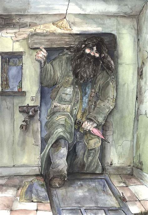 just after midnight hagrid arrives at the hut on the rock